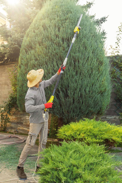 Best Lawn Watering Services  in Ravenna, MI